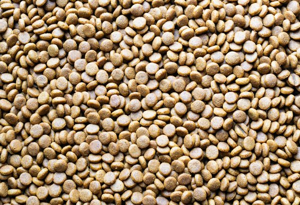 Crafting the Perfect Balanced Vegetarian Diet for Athletes in the UK: A Comprehensive Guide